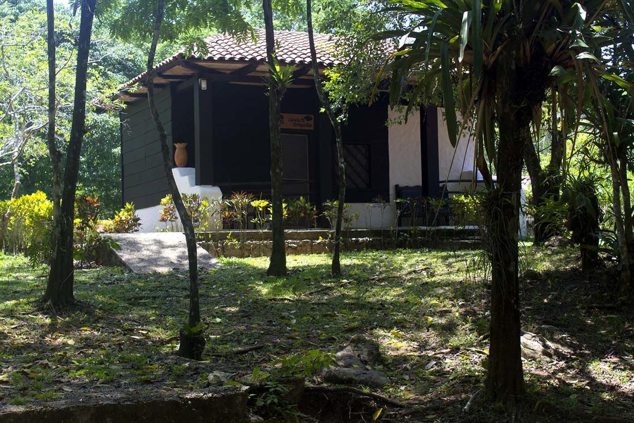 Ecolodge Las Nubes Chiapas La Fortuna Gallo Giro ภายนอก รูปภาพ