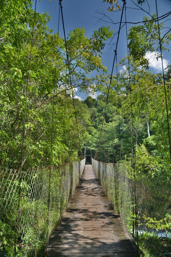 Ecolodge Las Nubes Chiapas La Fortuna Gallo Giro ภายนอก รูปภาพ